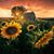 Kimberly Duncan's profile image