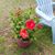 Deborah Bennett's profile image