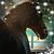 Tracy Maumee's profile image