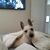 Michele Fridson's profile image