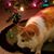 Susan Nielsen's profile image