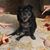 Terry Jones's profile image