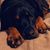 Becka Stemmer's profile image