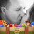 Brigitte Neill's profile image
