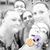 Erin Maria Riley's profile image