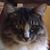 Wendy Donahue's profile image