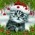 Ron Shamblin's profile image