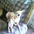 Donna Moyer's profile image