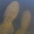 Valerie Skibicki's profile image
