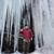 Steve Rubano's profile image