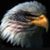 Gail Gibson's profile image