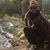 Sofia Lopes's profile image