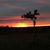 David R Rhoads's profile image