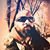 Alexander Lee Hutchins's profile image
