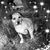 Teresa James's profile image