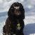 MaryJo Robinson Gignac's profile image