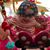Jamie Nicolai's profile image