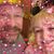 Suzanne Mashas Yorke's profile image