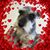 Rosalina Taylor's profile image