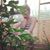 Judy Purington's profile image
