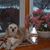 Linda Schroeder Nowatzke's profile image