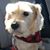 Marie Grasser's profile image