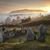 Elaine Miller-Kreiser's profile image