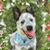 Chasity Gabrielson's profile image