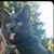 Anthony Neue's profile image