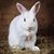 Vonda Fredrickson-Dyrdahl's profile image