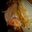 Candice Cordero's profile image