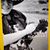 Paula Burkley-Ibonie's profile image
