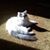 Betty Ruffing's profile image