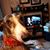 Janet Shaffer's profile image