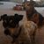 Tracy Ann's profile image