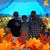 Mary Ardito's profile image