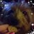 Amanda Vietor's profile image