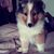Cheryl Clark-Burke's profile image