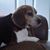 Sandy Topa's profile image