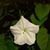 Nancy Cartabiano's profile image