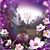 Miranda Cross's profile image