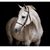 Missy Bennie's profile image