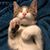 Lori Matteson's profile image