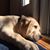 Craig Testa's profile image