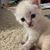 Denise Earles's profile image