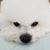 Carol Smith's profile image