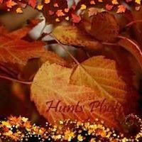 Lori Hunt's profile image