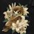 Lisa Gagliano's profile image