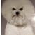 Michelle Lawler's profile image