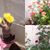 Belem Flores's profile image